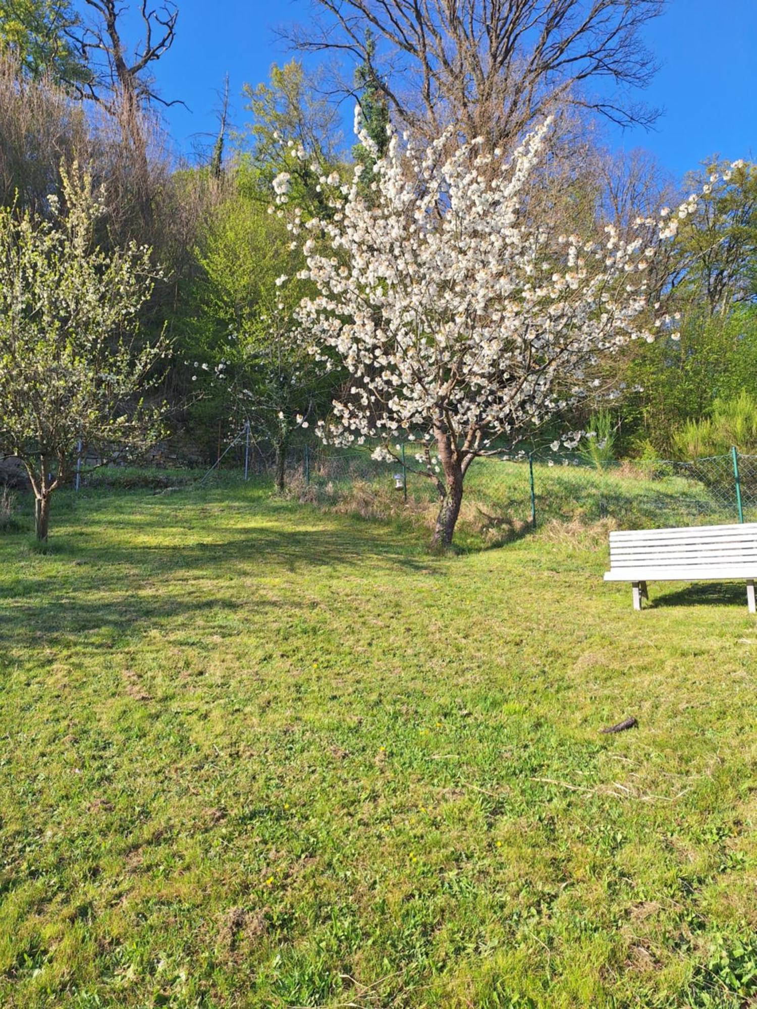 Kleines Domizil Am Suedhang Ortenberg  Kamer foto